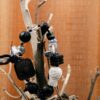 Xuanli Wealth Bead