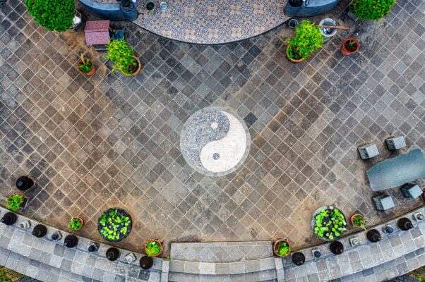 Yin Yang symbol,How Taoist Philosophy Understands the Human Body